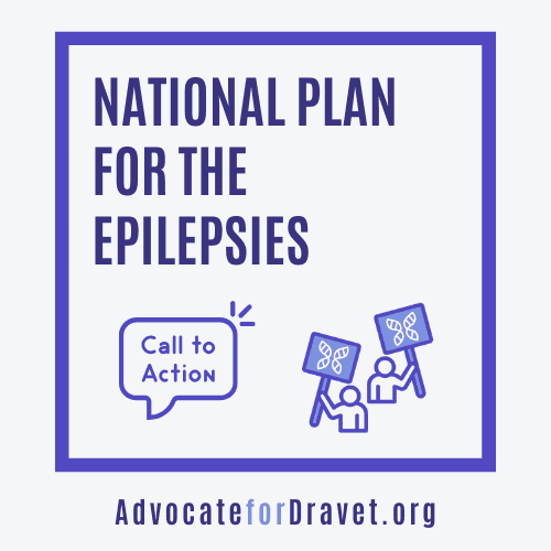 National Plan for the Epilepsies LINK